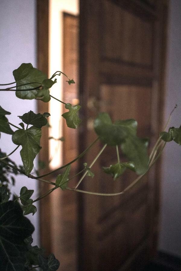 Ventspils Centra Apartamenti Dış mekan fotoğraf